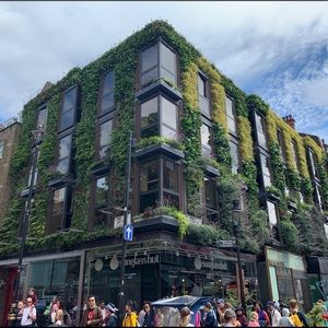 Meet your Posher, Tracey